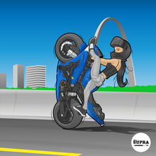 Load image into Gallery viewer, Sticker Set of 2 - Harley AND Kawasaki